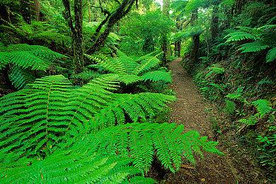 网飞《鬼泣》动画热播为游戏引流 《鬼泣5》在线玩家激增6倍