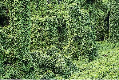 《博德之门3》最高难度会让人哭 不担心与《星空》比较