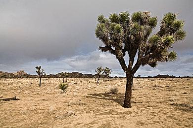 《流放者传说：初踏旅程》今日在Steam平台免费上线