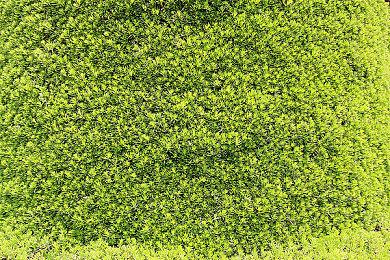 《欢迎之旅》评分触底 成任天堂十年来评分最低的游戏